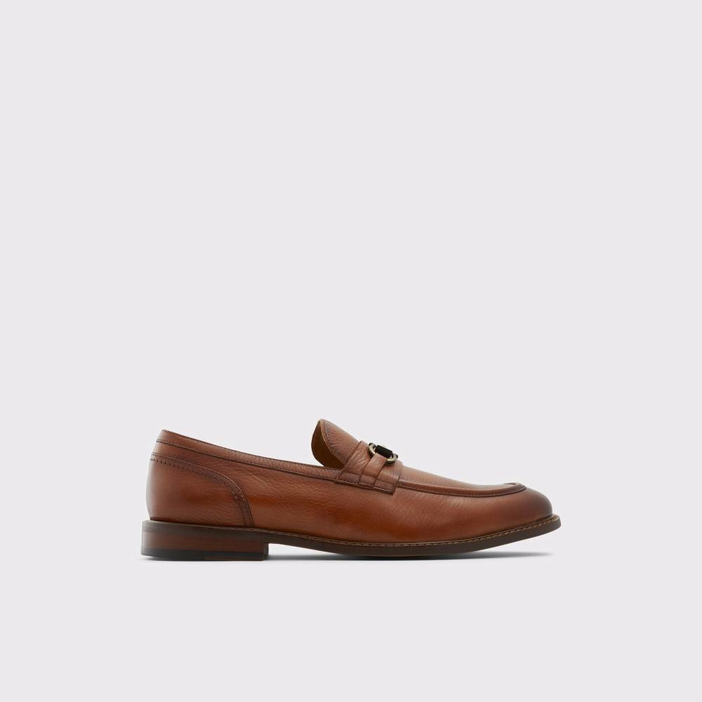 Mocassini Uomo ALDO Schergerflex Marroni | MYKS63987